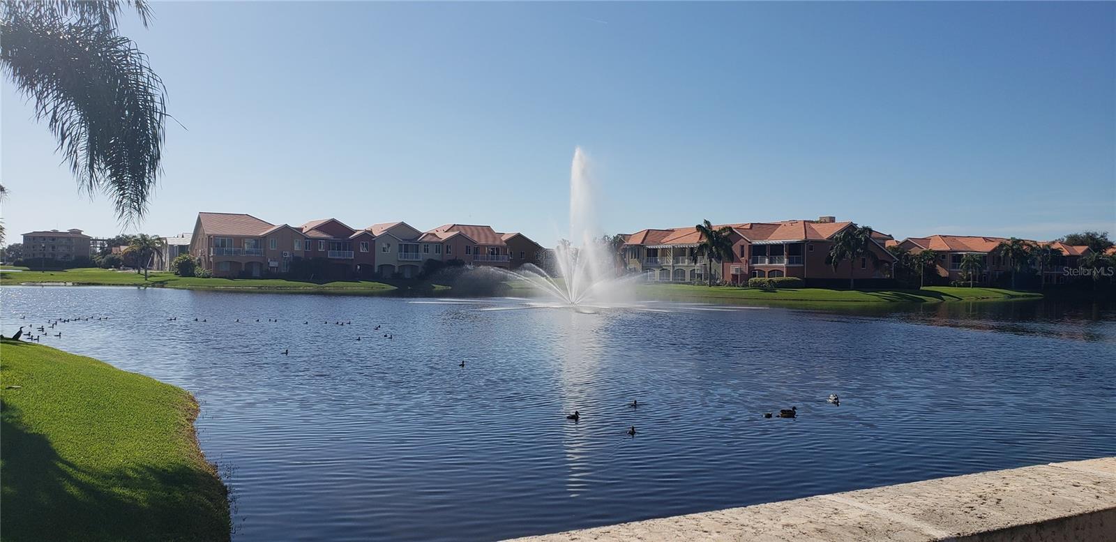 Water features throughout the community make for serene sounds and views for our homeowners.