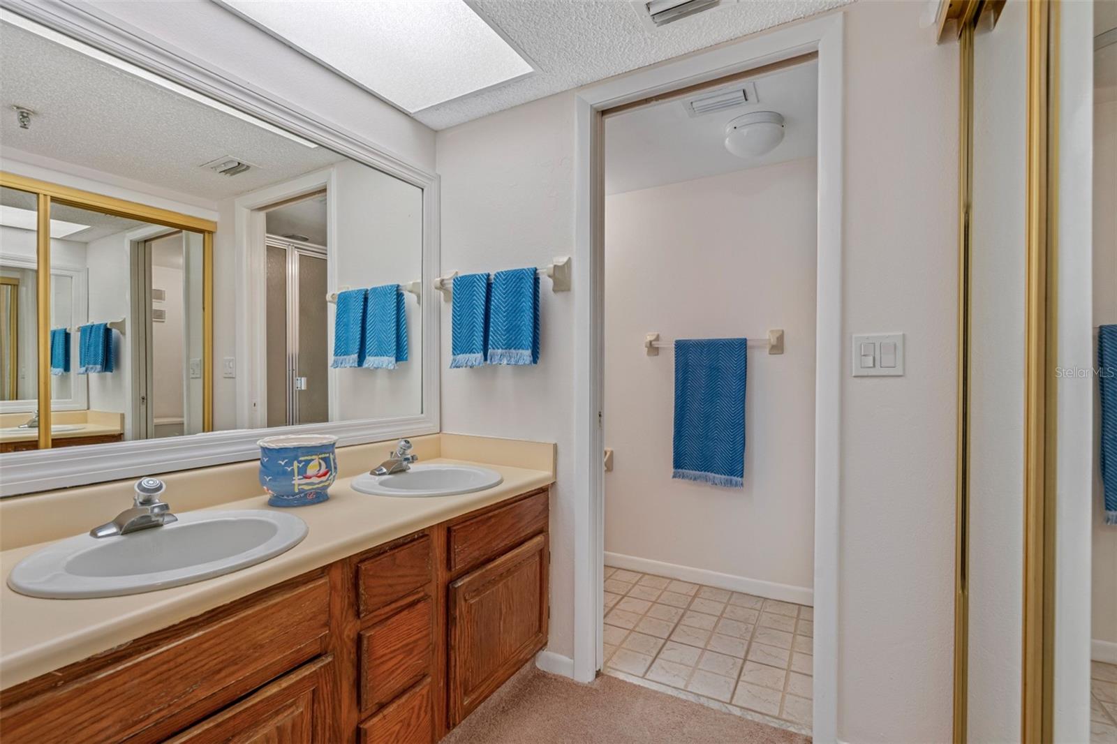 .. Master Suite has a Vanity Area with double sinks and Mirrored Closets  - Plus Shower and Privacy Room. Folks who Remodel Enlarge Walk in Shower Area by taking half of Closet space.