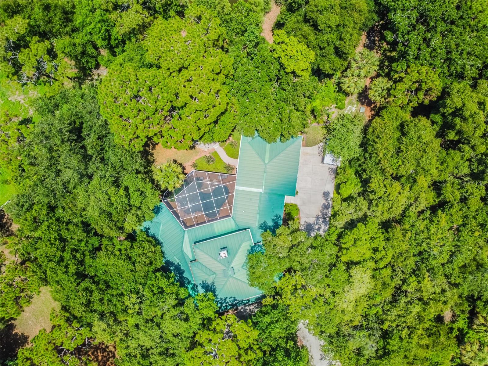 Aerial view of house and lot.