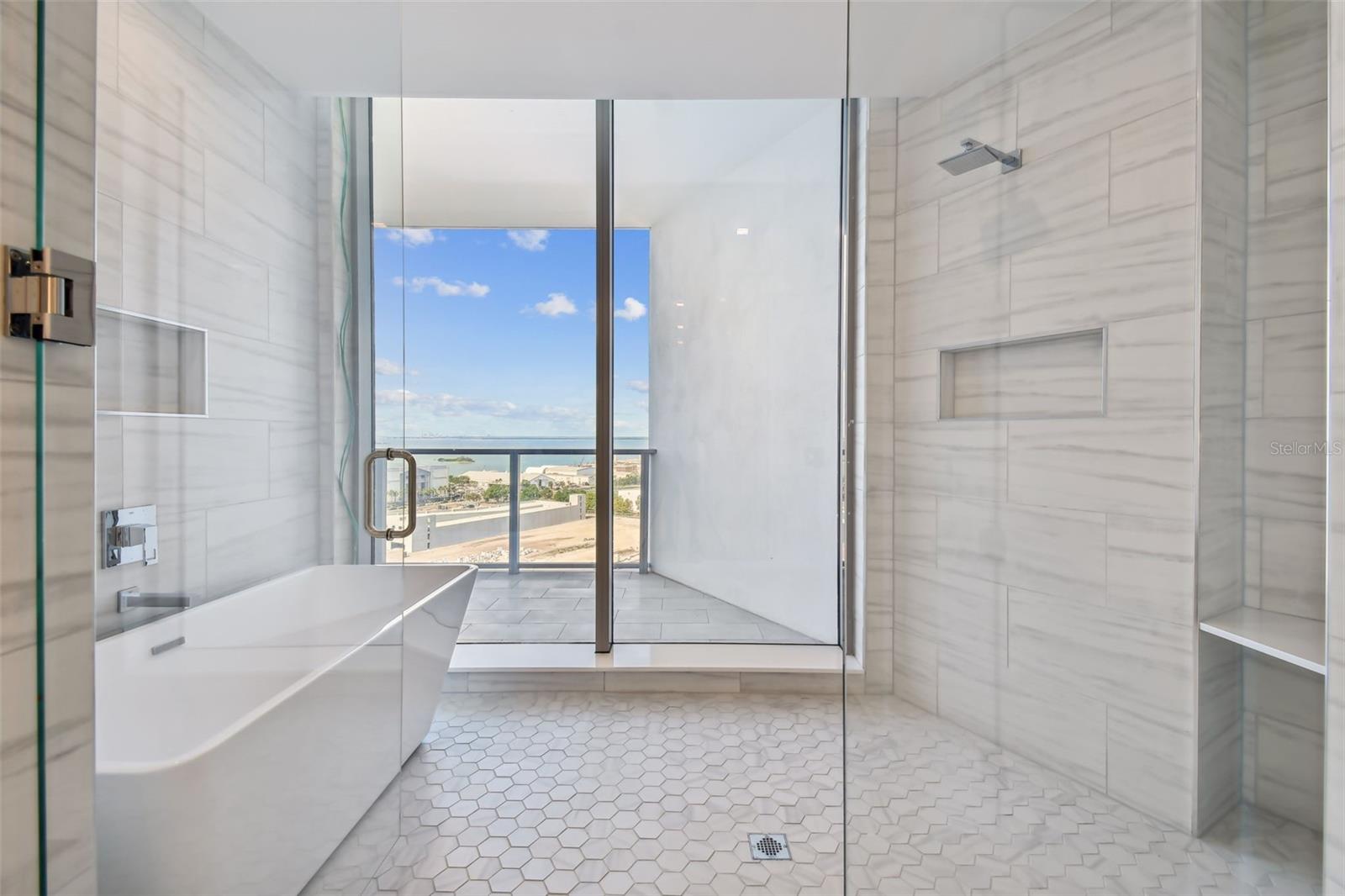 Master bathroom shower and tub with a view