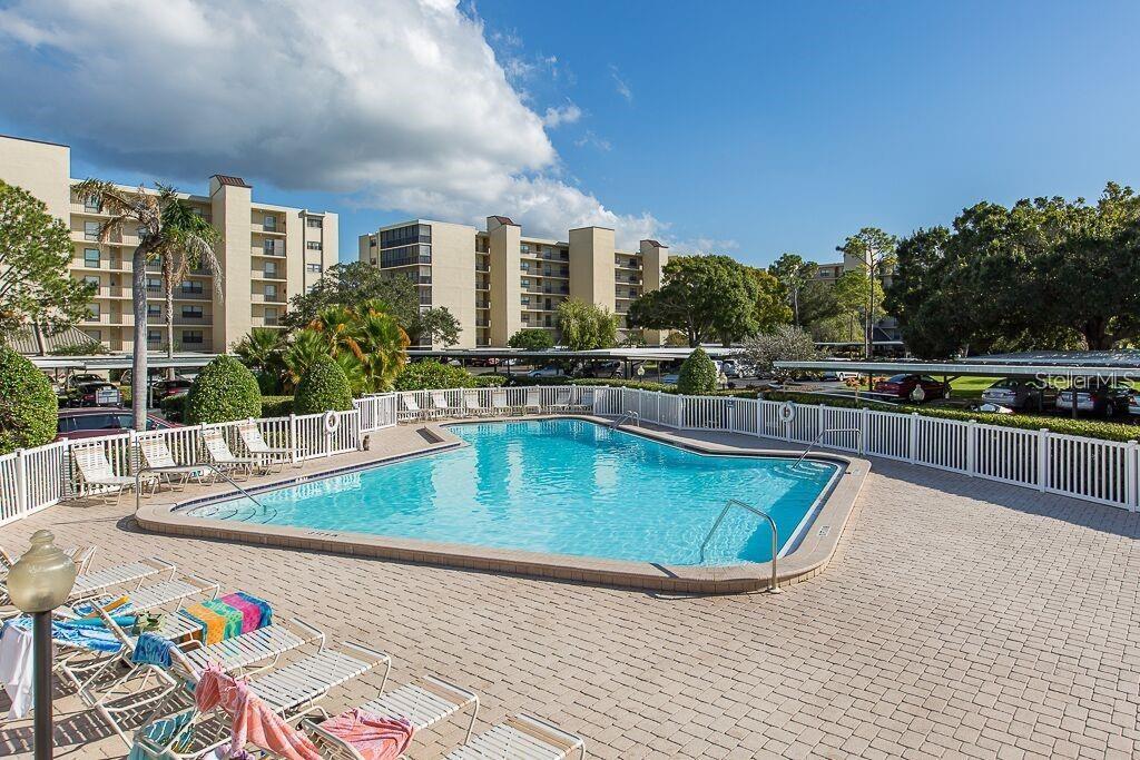 Cove Cay Village IV pool.  Enjoy the sunny days of Florida.