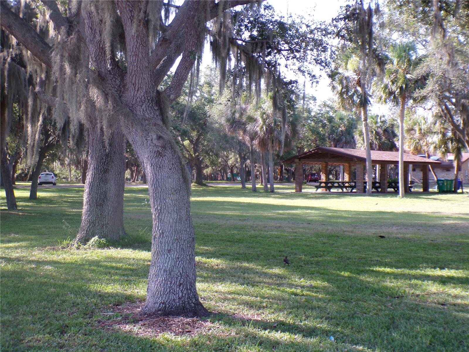 Lark Seminole Park Shelters