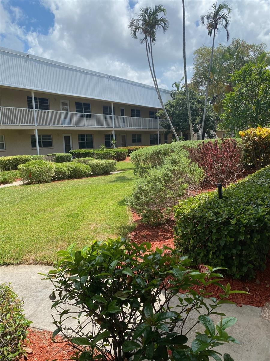 View From Front Door Into Courtyard