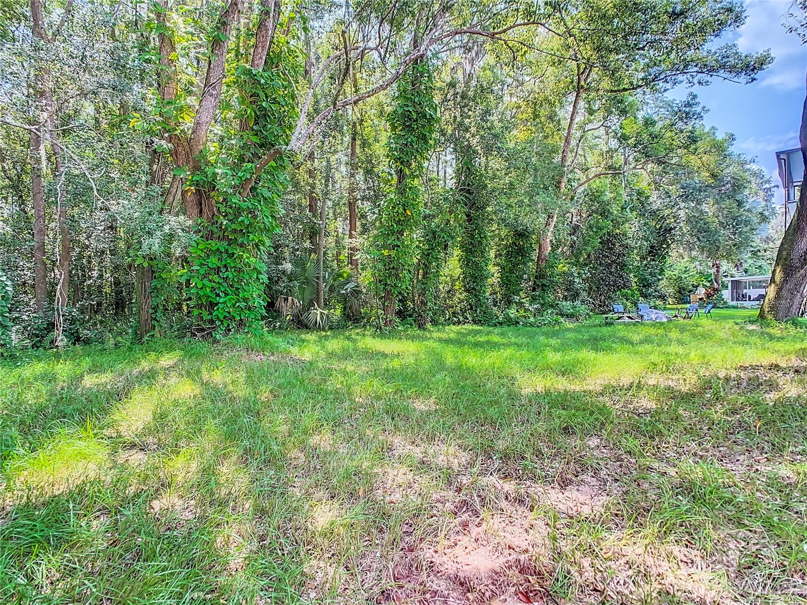 Wooded privacy lined backyard East view.