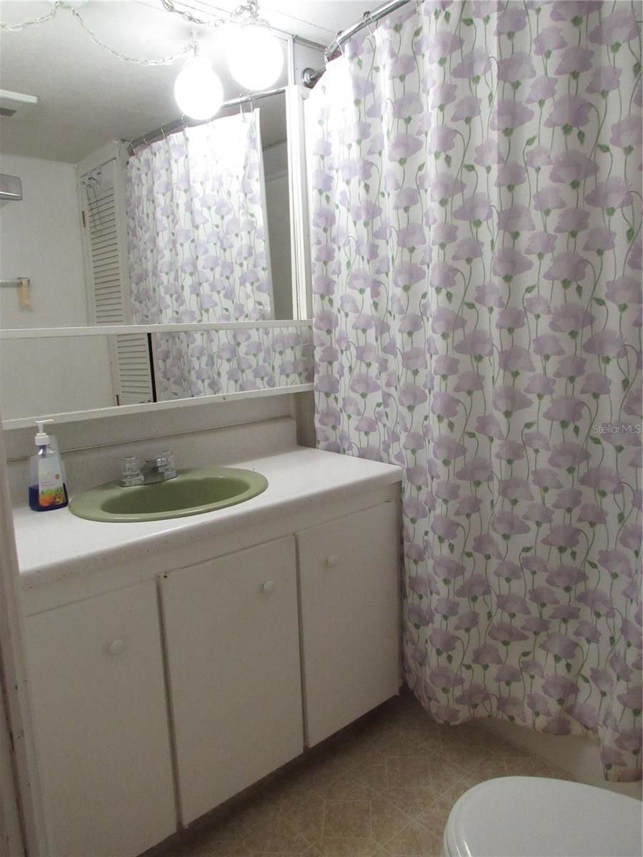 Hall bathroom with walk-in shower.