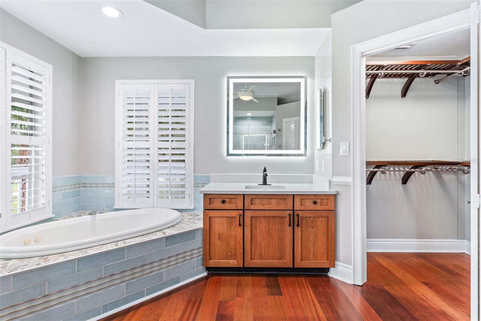 Master Bathroom (and 1 of 2 closets)