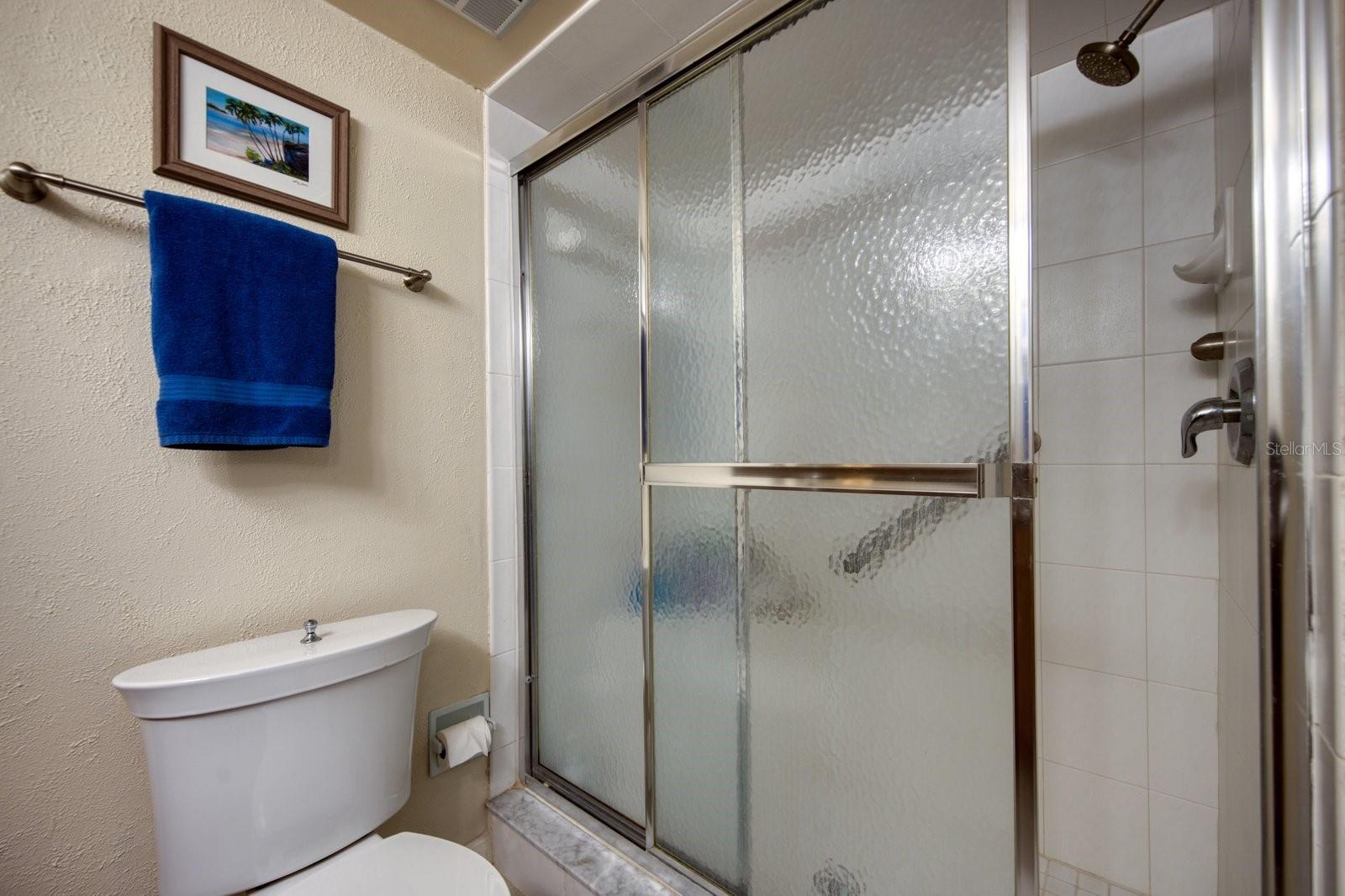 guest bath with walk in shower
