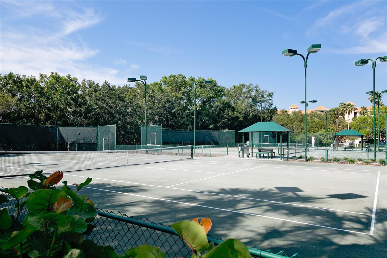Tennis anyone? Lighted har-tru tennis courts. Car wash setup and e-car battery charging station next to the courts.