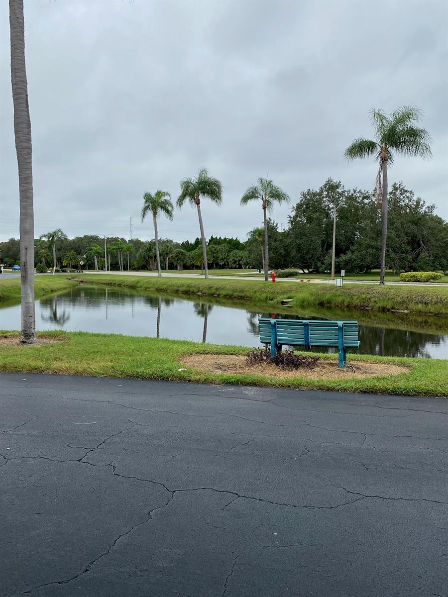 Pond in front of building