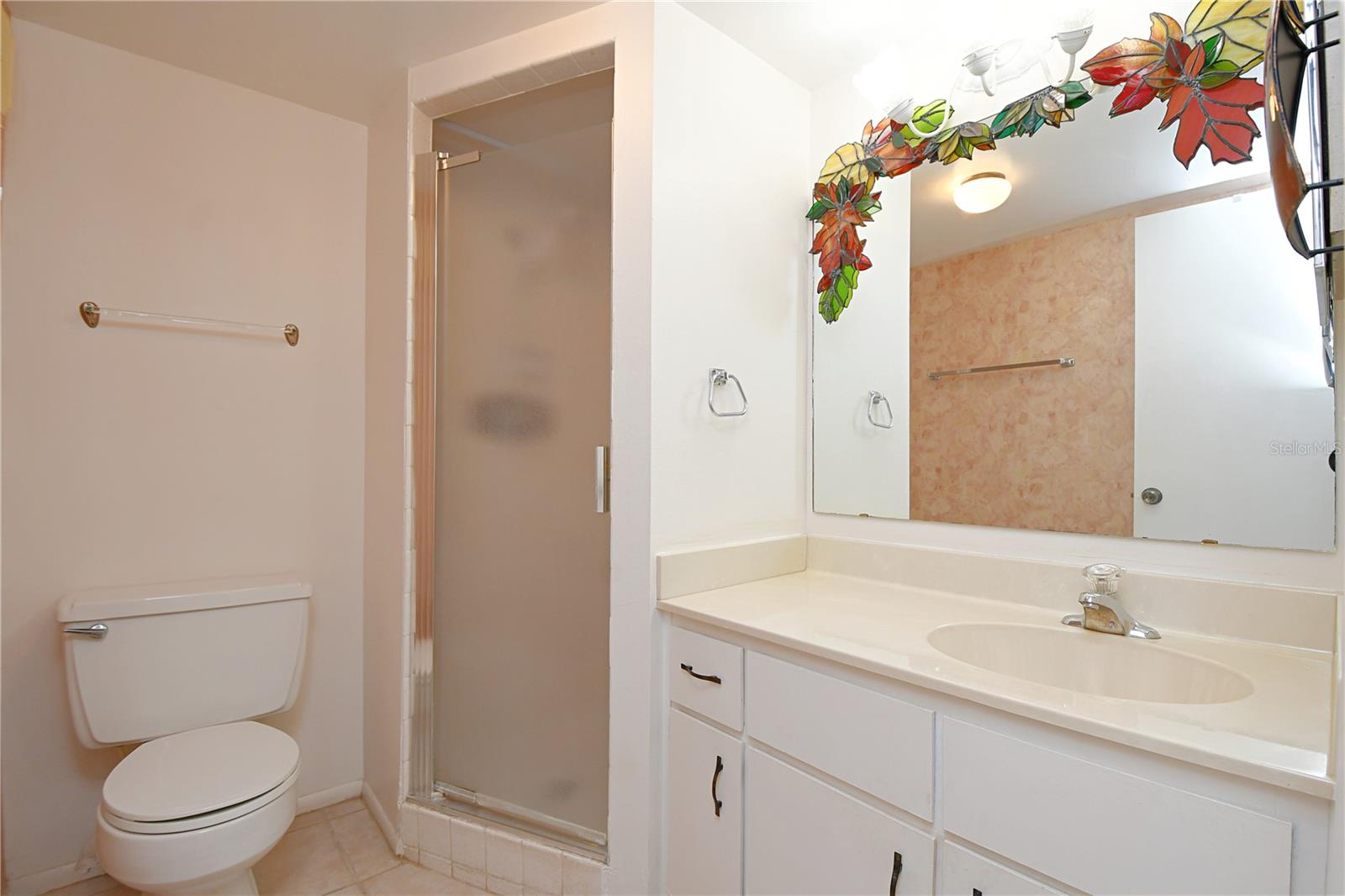 The second bathroom comes with corner stand-up shower and a vanity with a large mirror and a medicine cabinet.