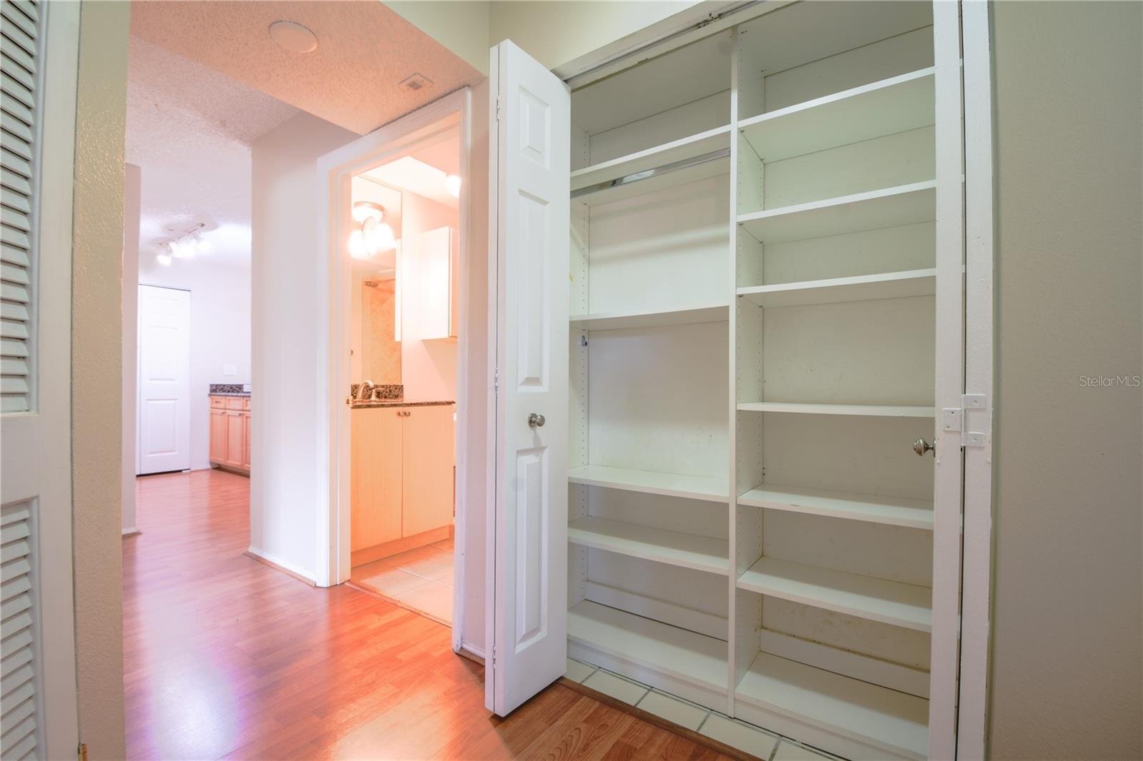 This home features a large built in closet in the entry hall.