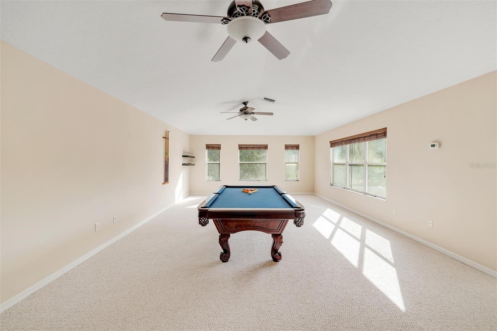 POOL TABLE, Cues, and Shelves Convey