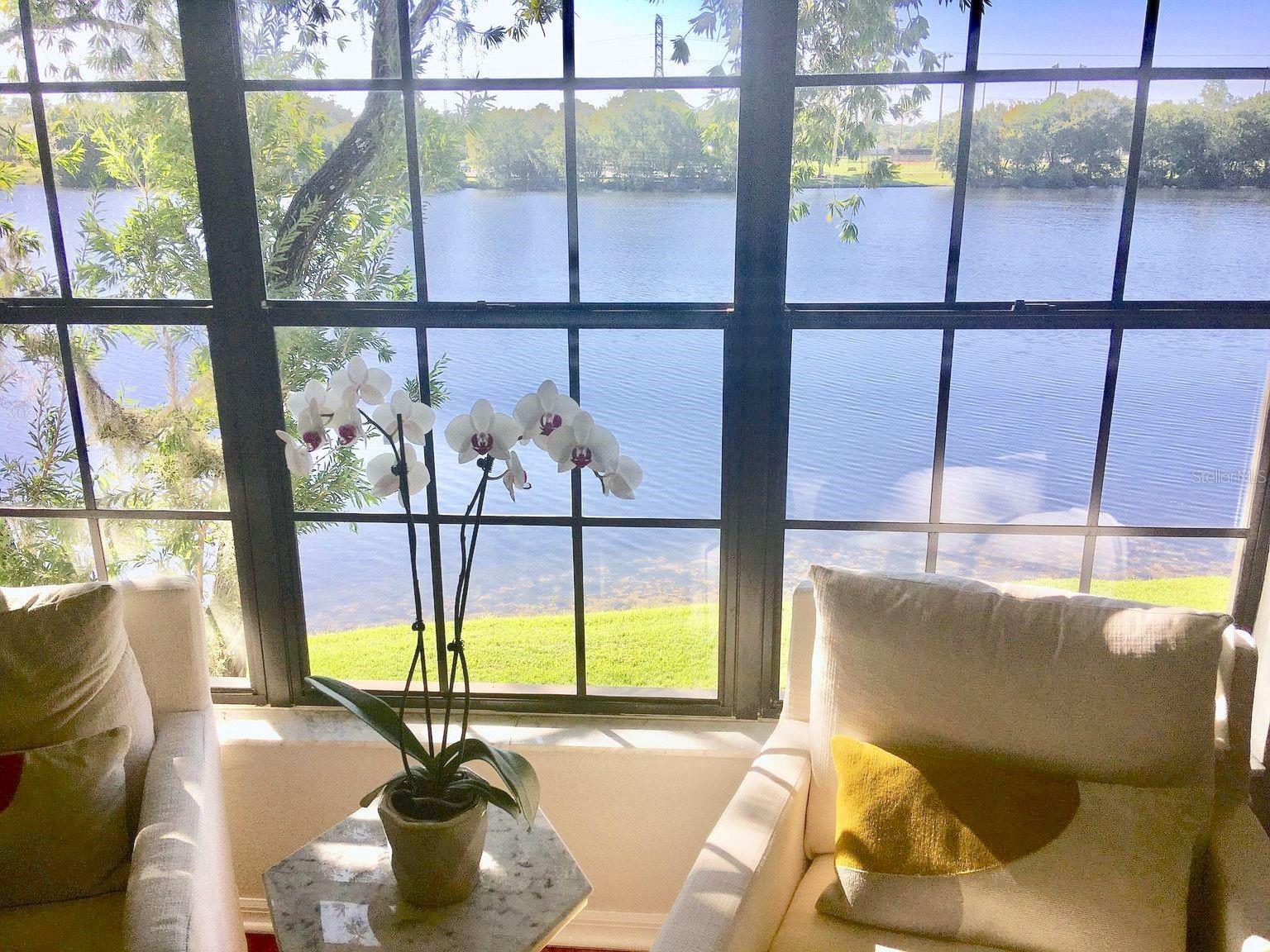 Living Room View of Westchester Lake
