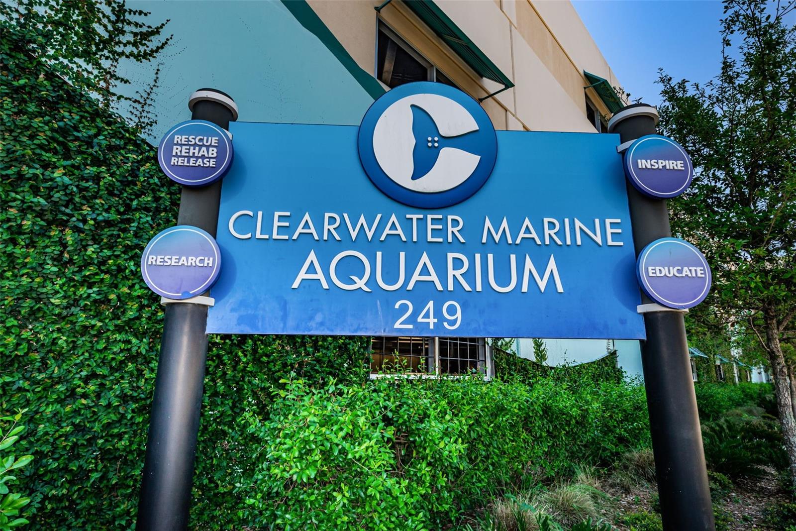 The captivating Clearwater Marine Aquarium, a nearby treasure for marine enthusiasts and nature lovers alike! This renowned aquarium is a haven for marine life rehabilitation, education, and conservation. I