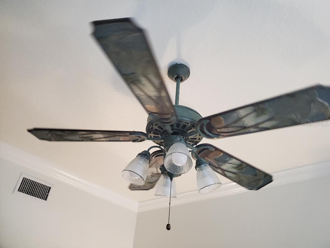Another beautiful custom fan.
