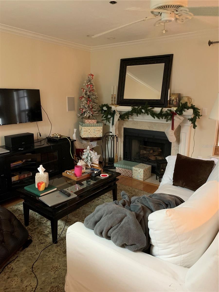 Living room Fireplace