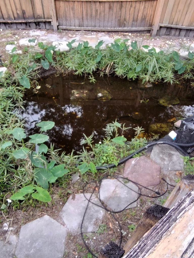 cute little pond for fish, ducks and birds