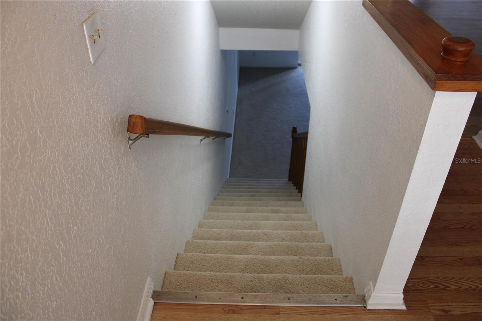 Stairs to lower level bonus room