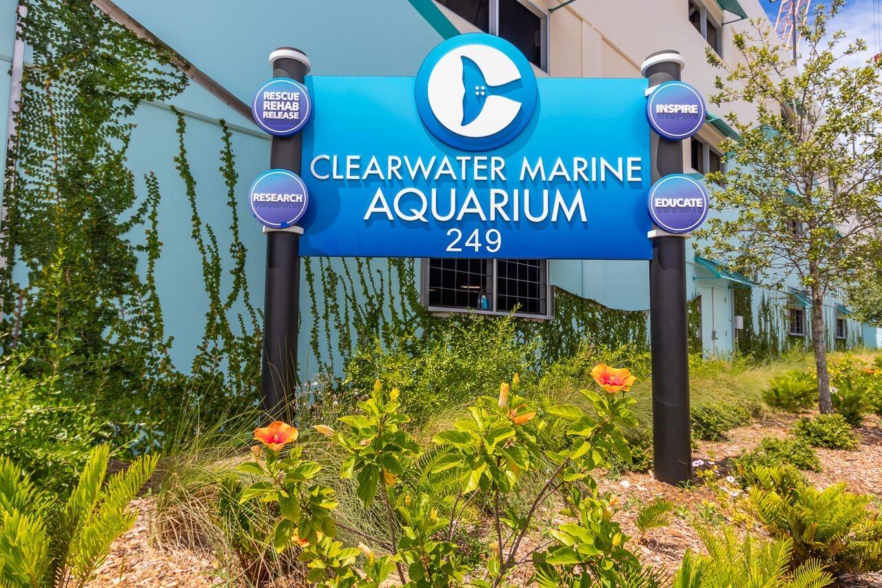 CLEARWATER MARINE AQUARIUM IS ONLY ONE BLOCK AWAY