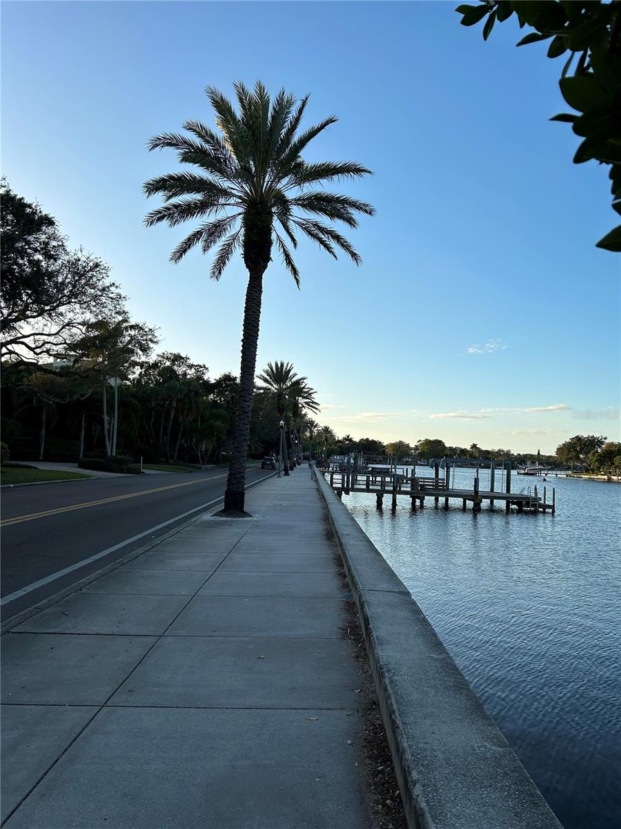 Coffee Pot Bayou - part of Tampa Bay. From near our home you can walk along the waterfront to NorthShore Park and to downtown St Petersburg.