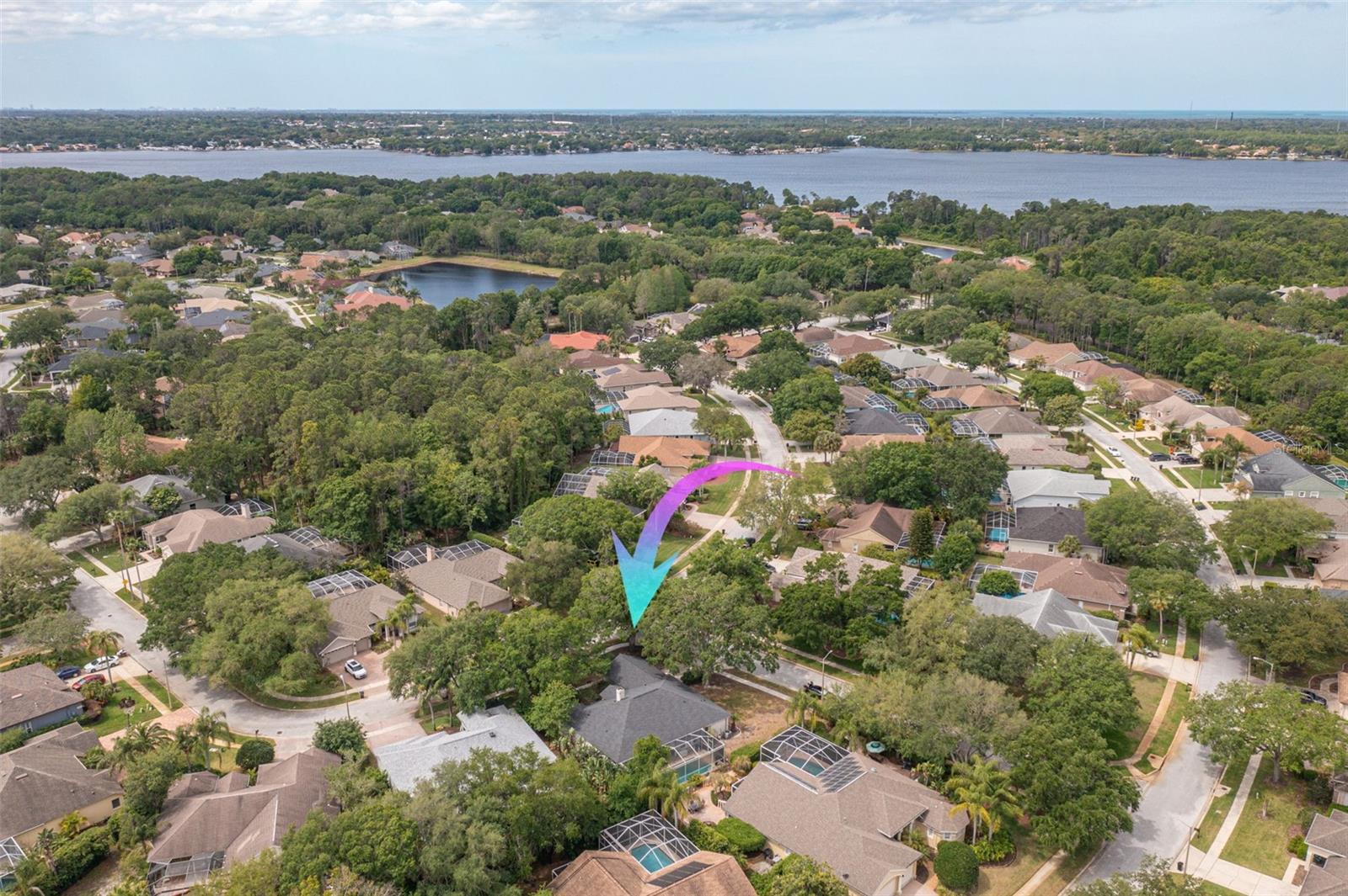 Private access to Lakefront Park and Lake Tarpon!