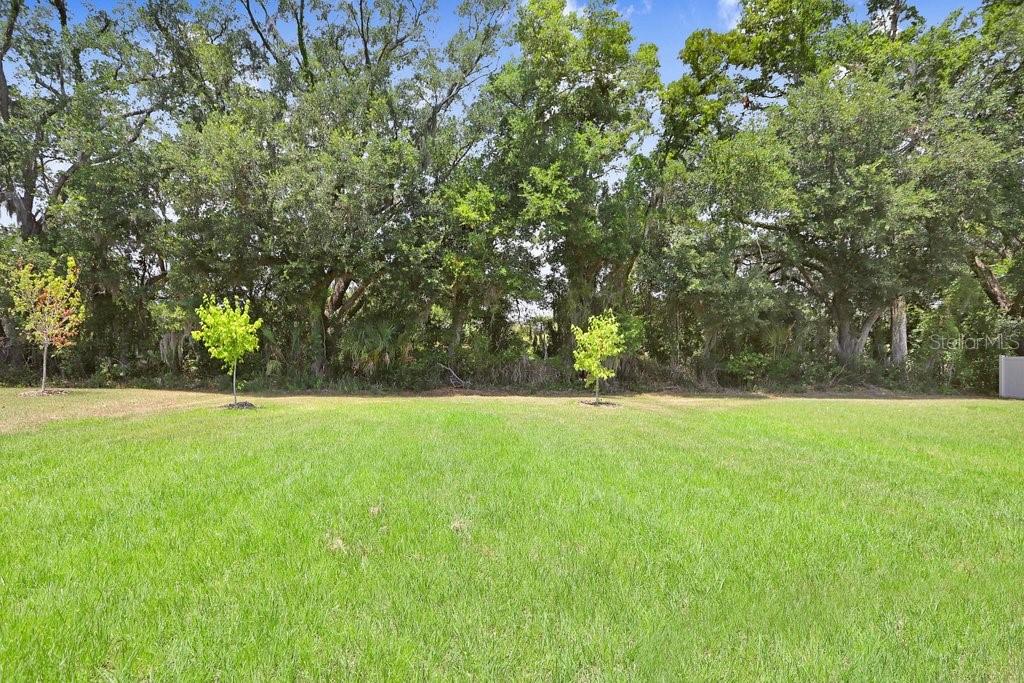 Private Backyard with lots of Space for Fun and Entertainment!