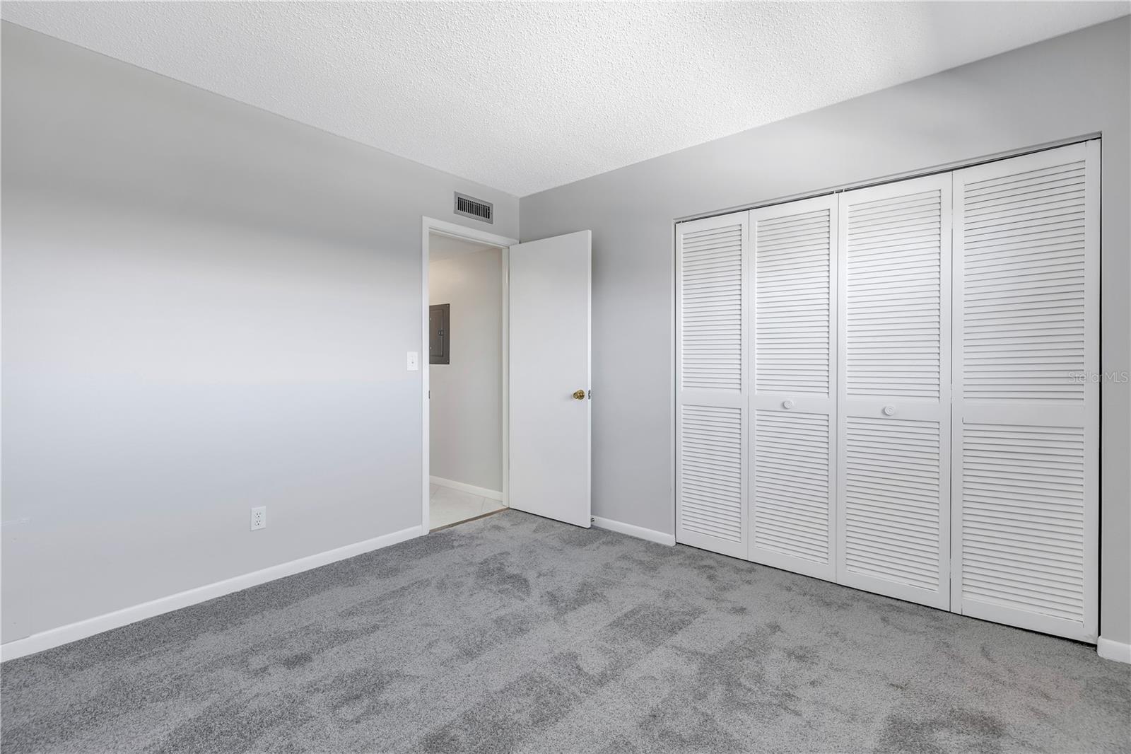 Large closet in guest bedroom