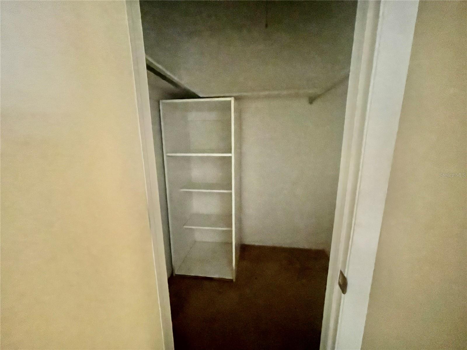 Large Walk-In Closet in the Hall