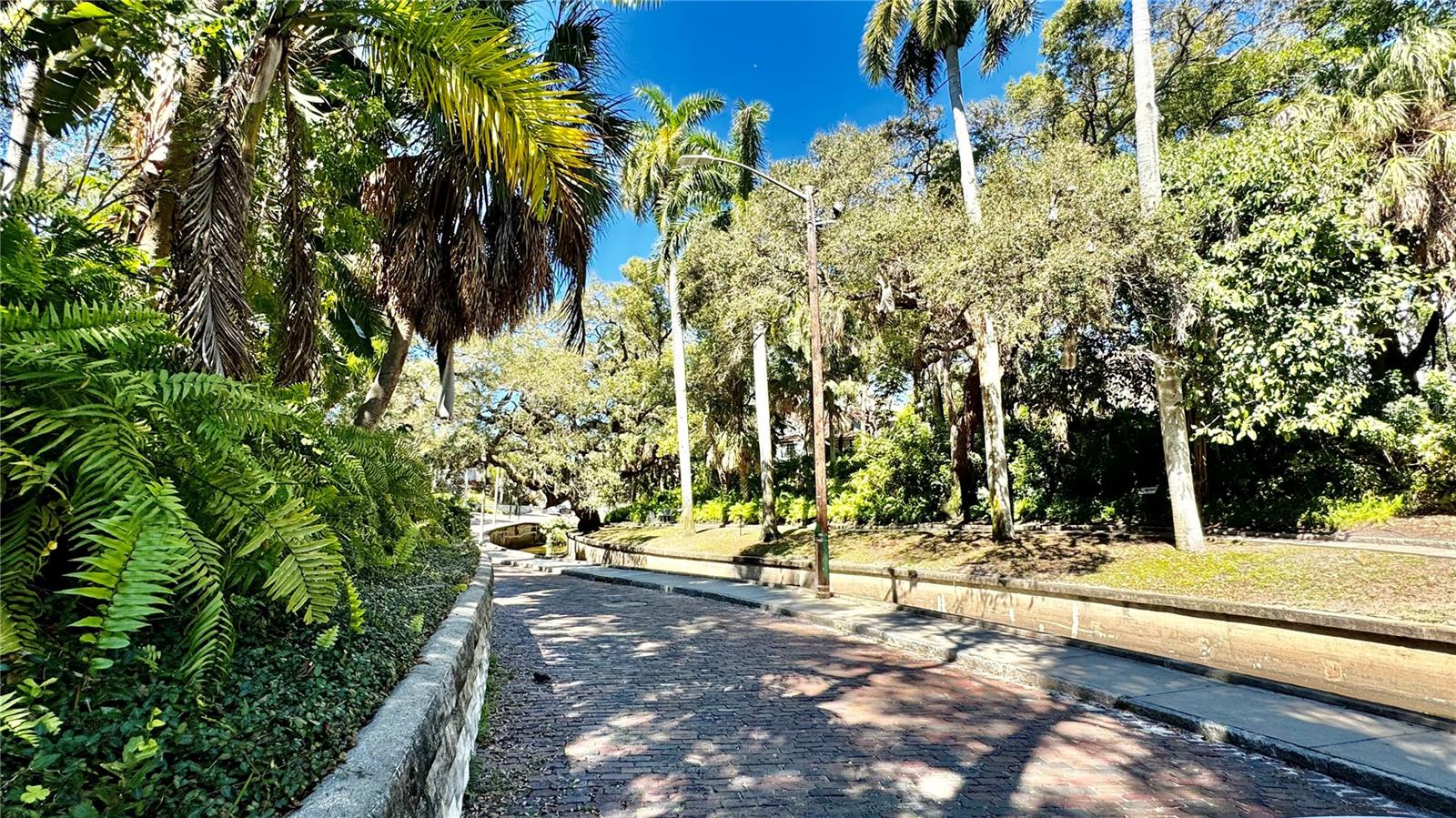 View of Roser Park, with its brick paved streets and lush landscaped backdrop. A perfect place to stroll and enjoy a step back in time in one of St Petersburg's most historic and iconic neighborhoods.