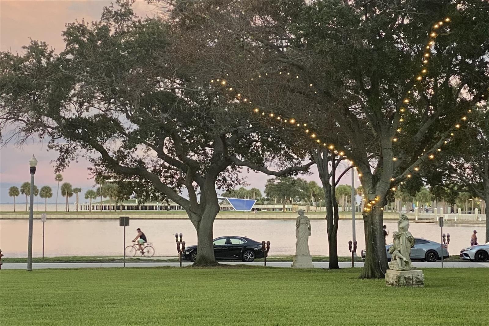 Living near downtown St Petersburg has its perks! Imagine strolling through Vinoy Park as the sun sets in the distance. Here you see just that, with the St Pete Pier in the background.