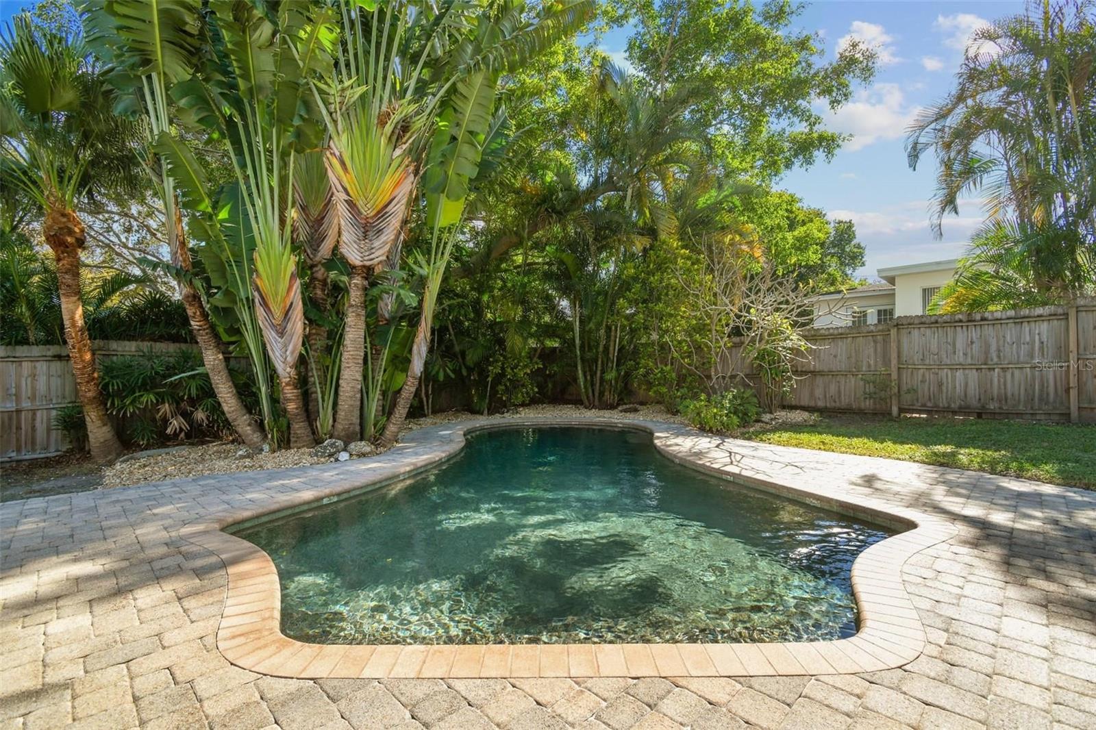 Saltwater Pool with Pebble Tec lagoon finish surrounded by lush, tropical landscaping