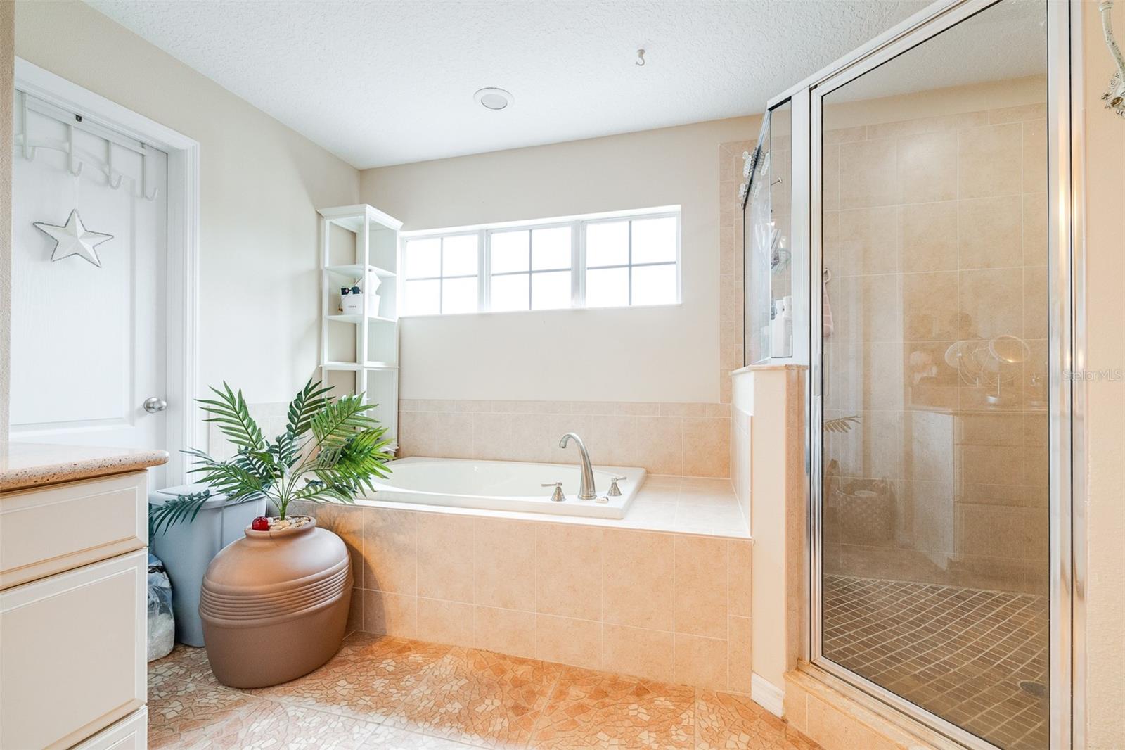Shower and Garden Tub in Owner's Bathroom