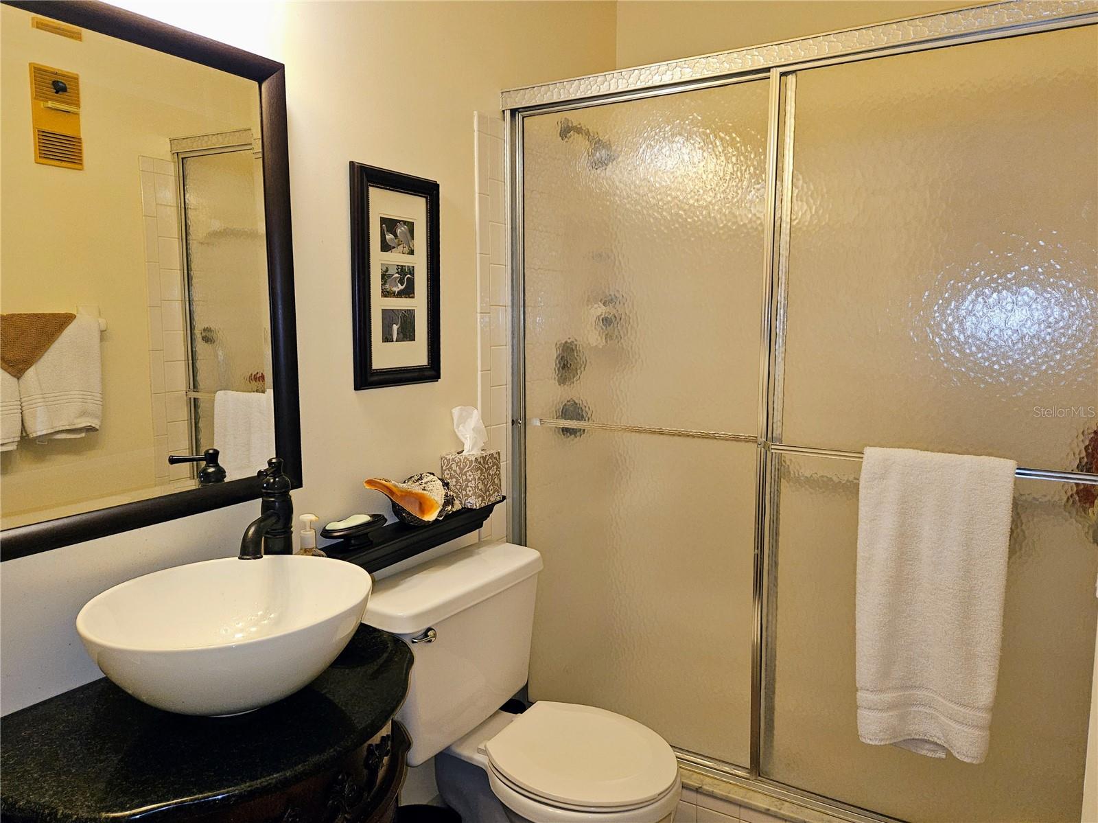 Master Bathroom with Walk-in Shower and New Vanity, Mirror and Lighting