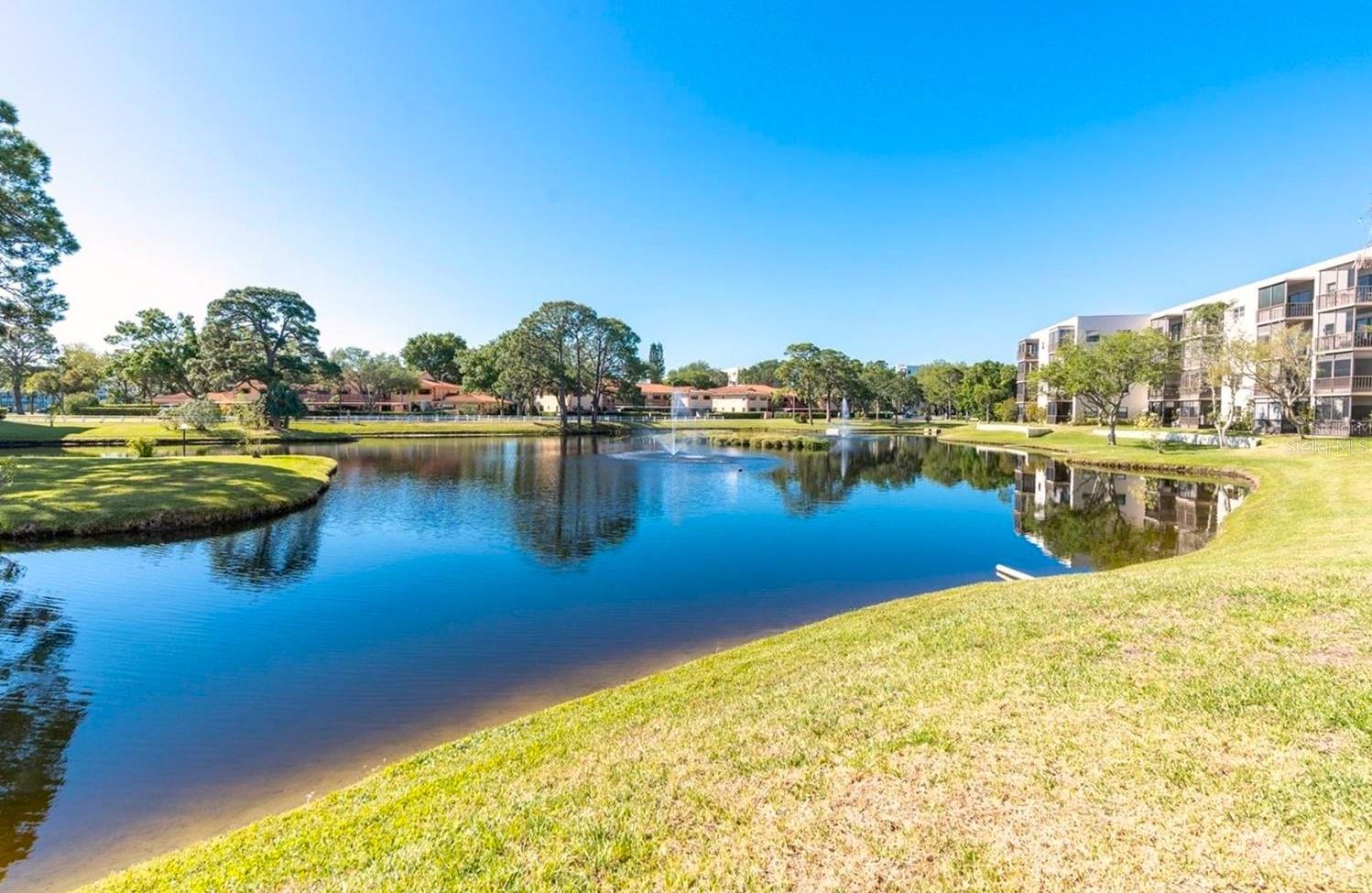 One of Nine Ponds in Complex