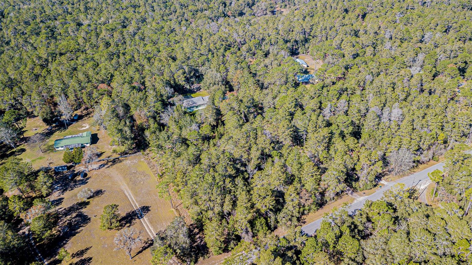 Not the green roof, but the one in the center. Five acres MOL of gorgeous wooded property!