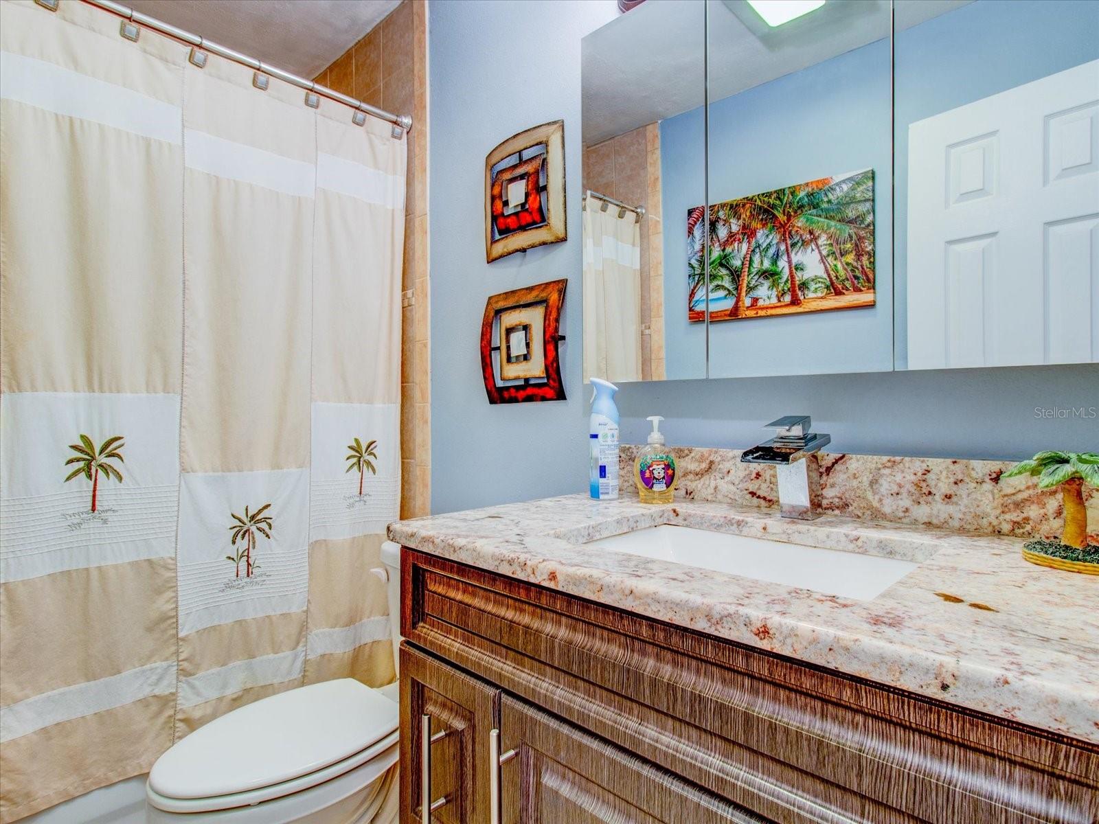 2nd Bathroom w/a Tub/Shower Combo,Single Vanity, Vanity Faucet Turns Blue When On #1