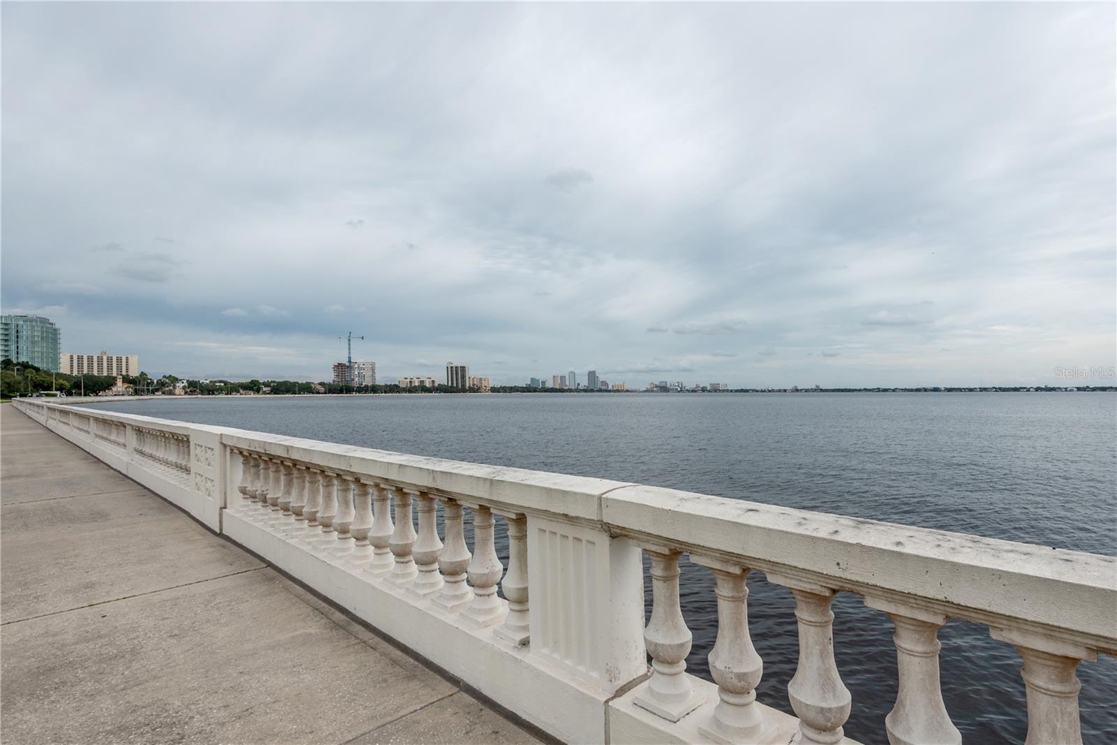 View along Bayshore to Downtown Tampa