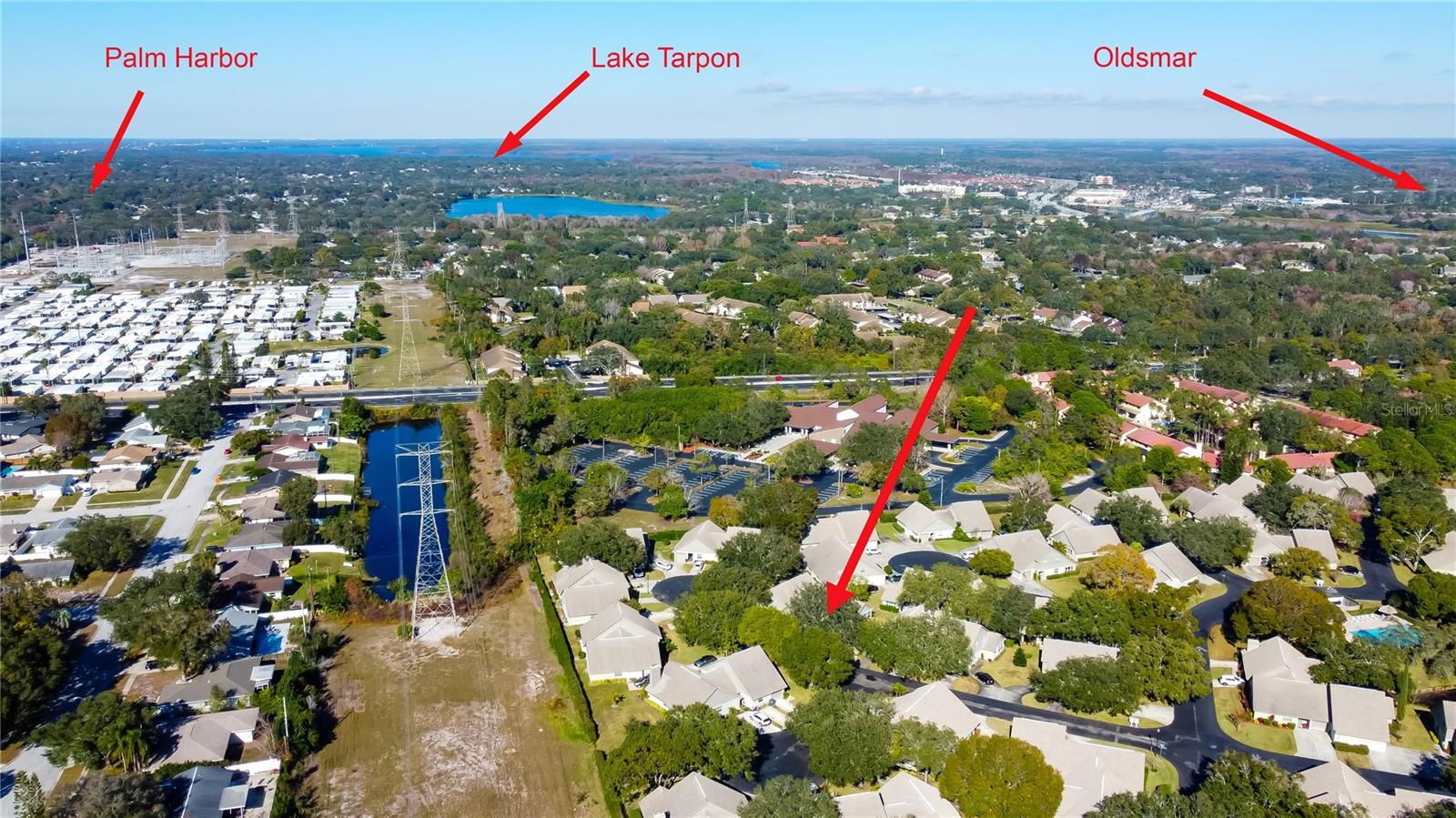 You Can See Lake Tarpon in the Vista!