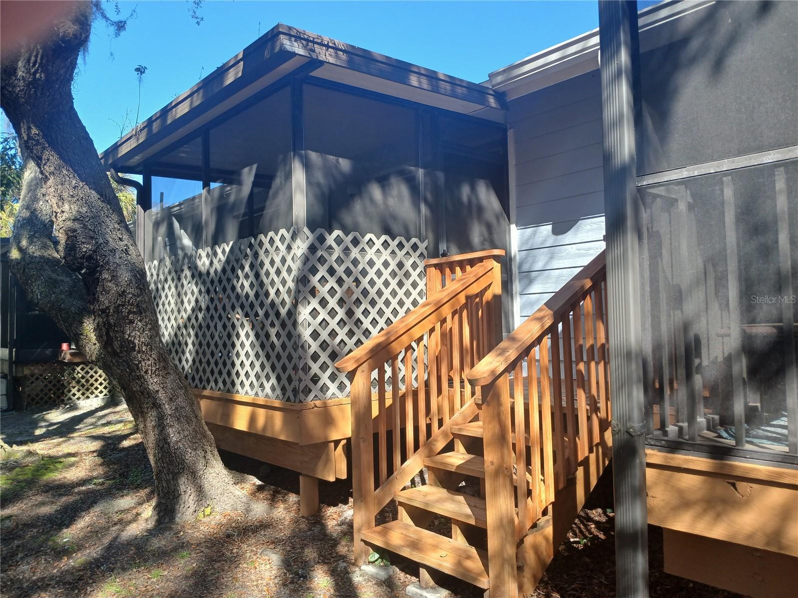 New steps off lani -porch
