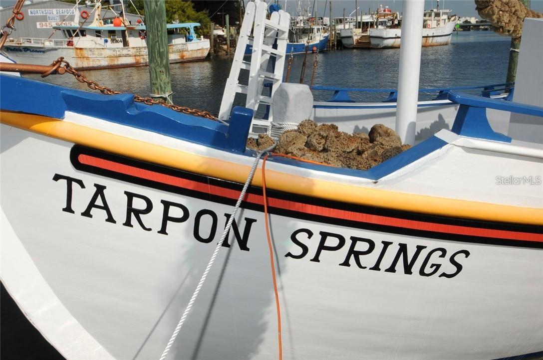 Tarpon Sponge docks