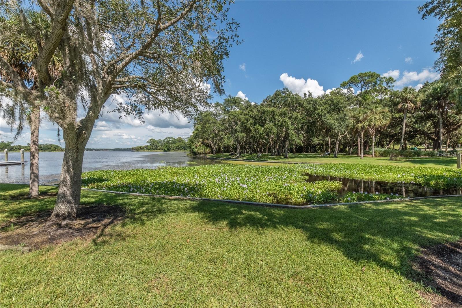 Area at the Anderson on the 9 mile long sking and fishing Tarpon Lake.
