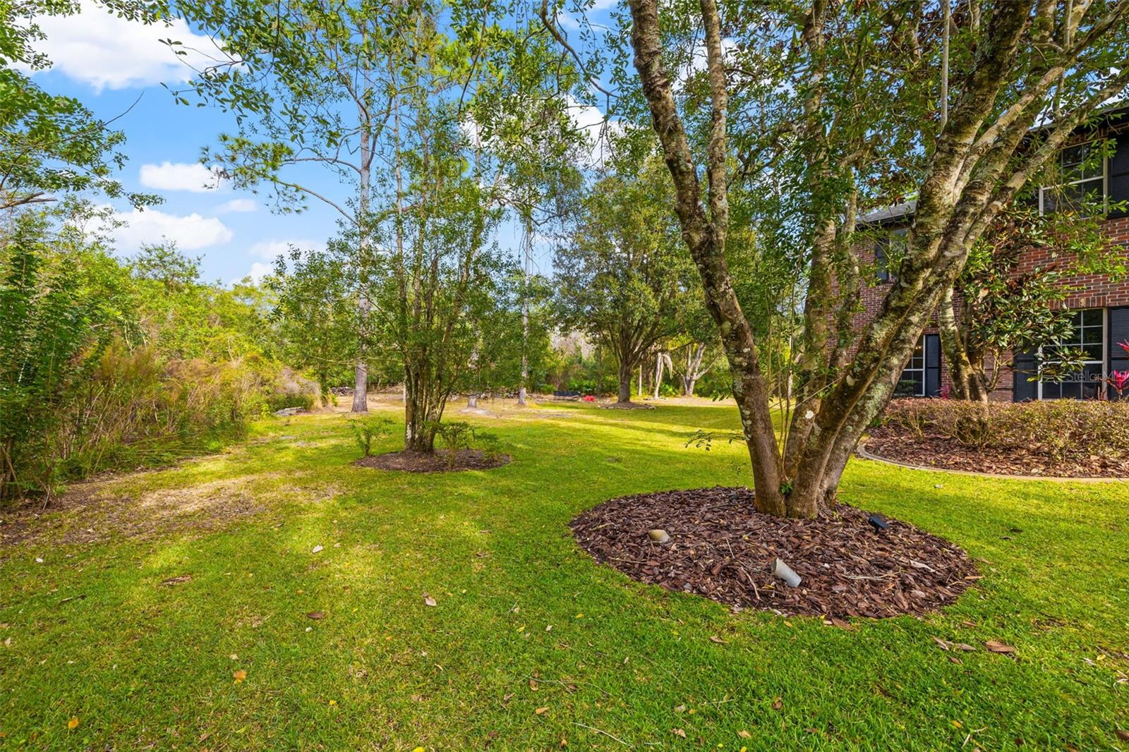 Huge backyard with lush mature landscaping.