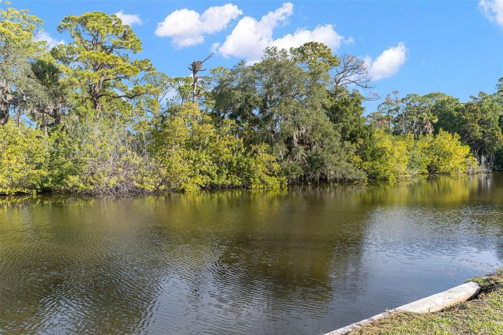 WATERFRONT VIEW