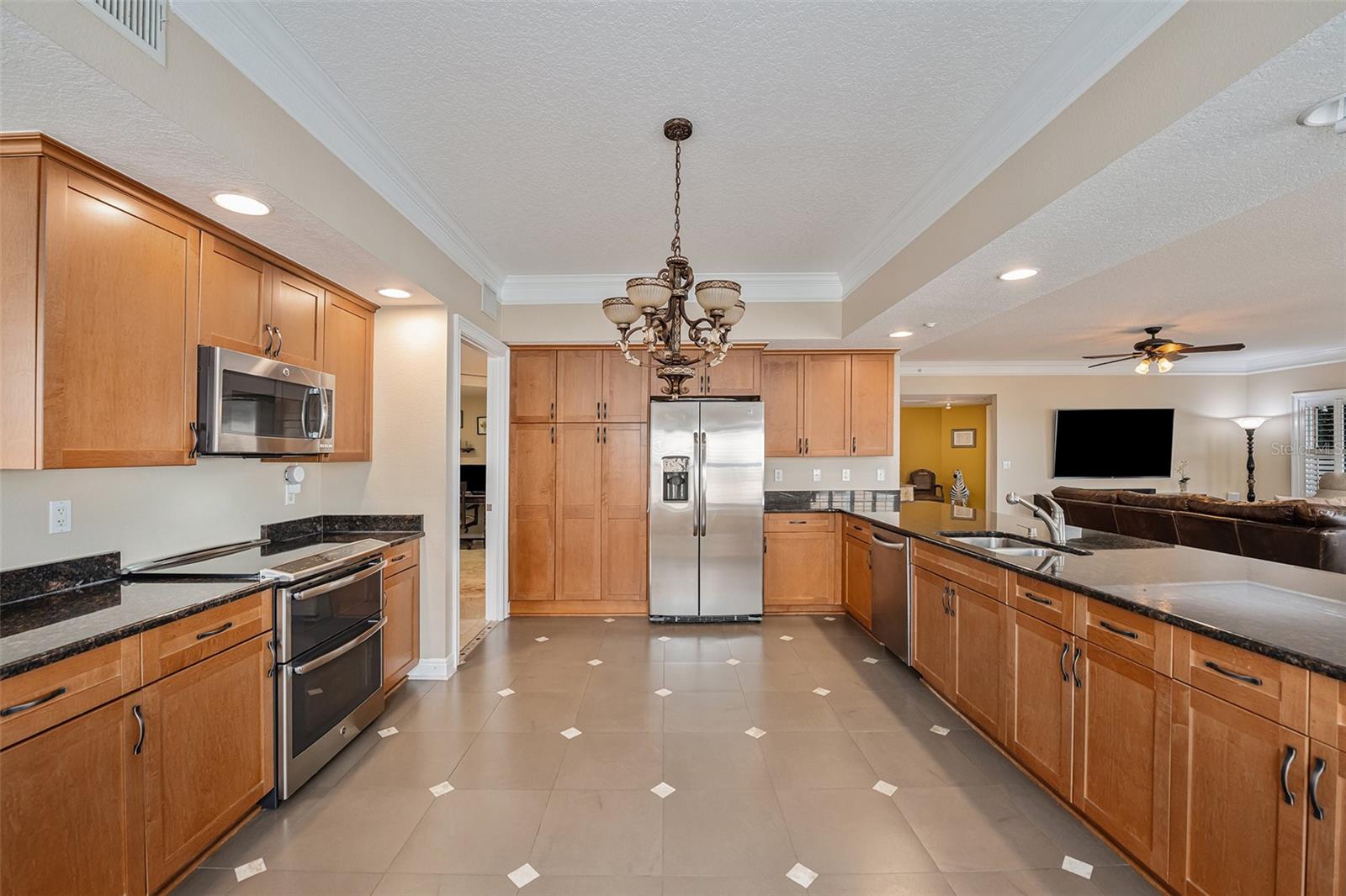 Tray Ceiling, Stainless Steel appliances, an abundance of cabinets and counter space all combine for the perfect Chef's kitchen!