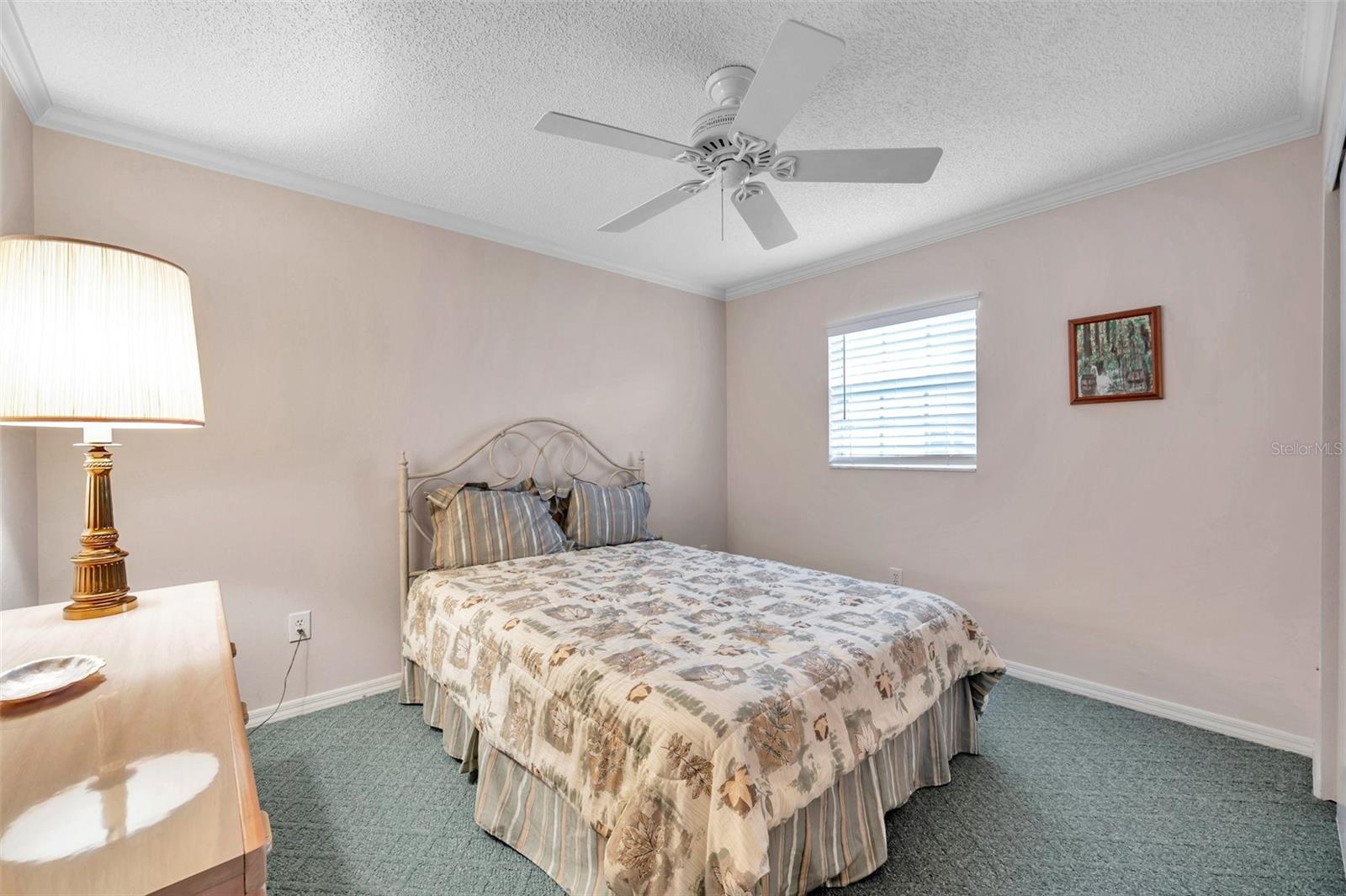Guest bedroom has carpet, ceiling fan and a window!