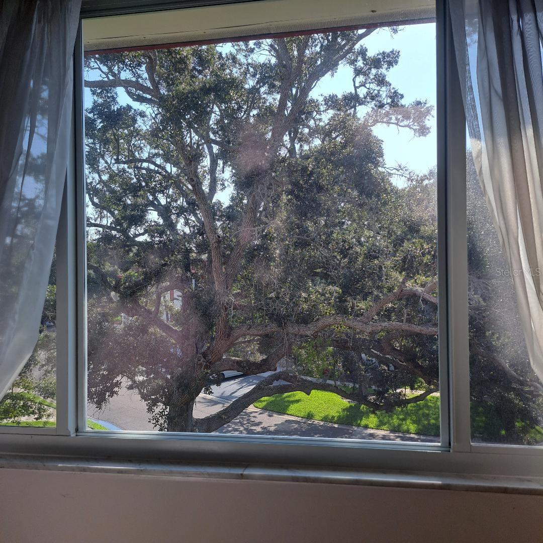view from guest bedroom