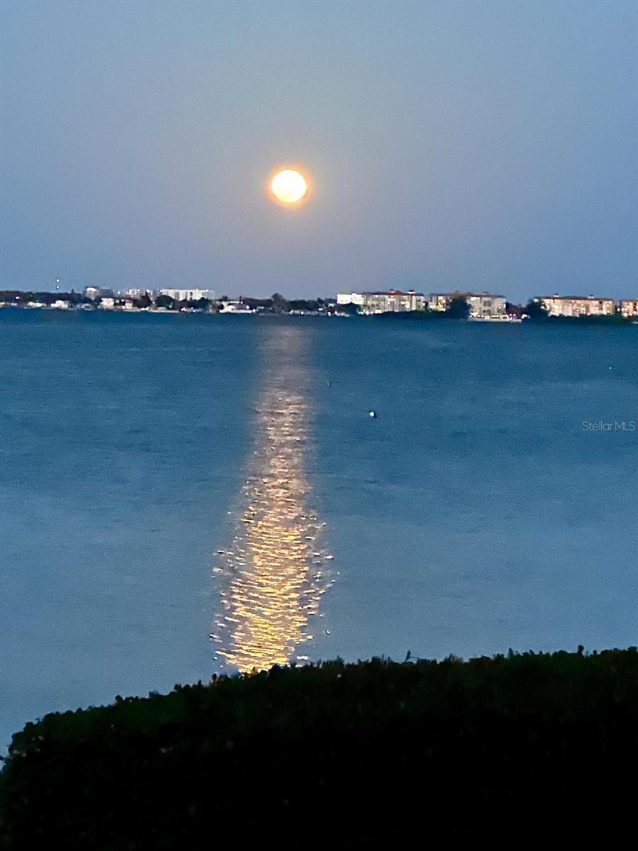 Moon rise over bay. Nice way to end the day.