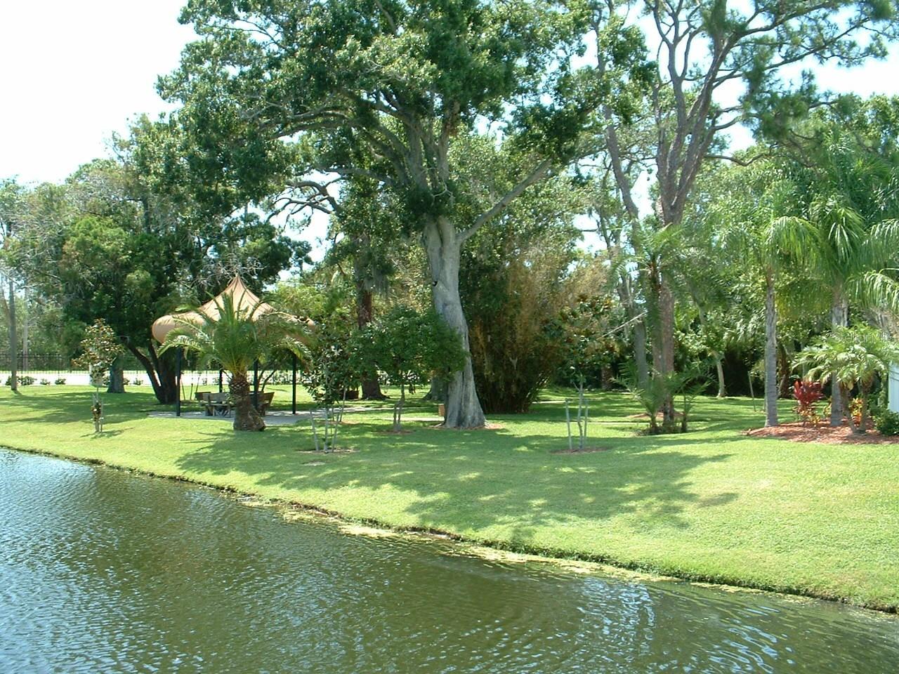pond in center of neighborhood