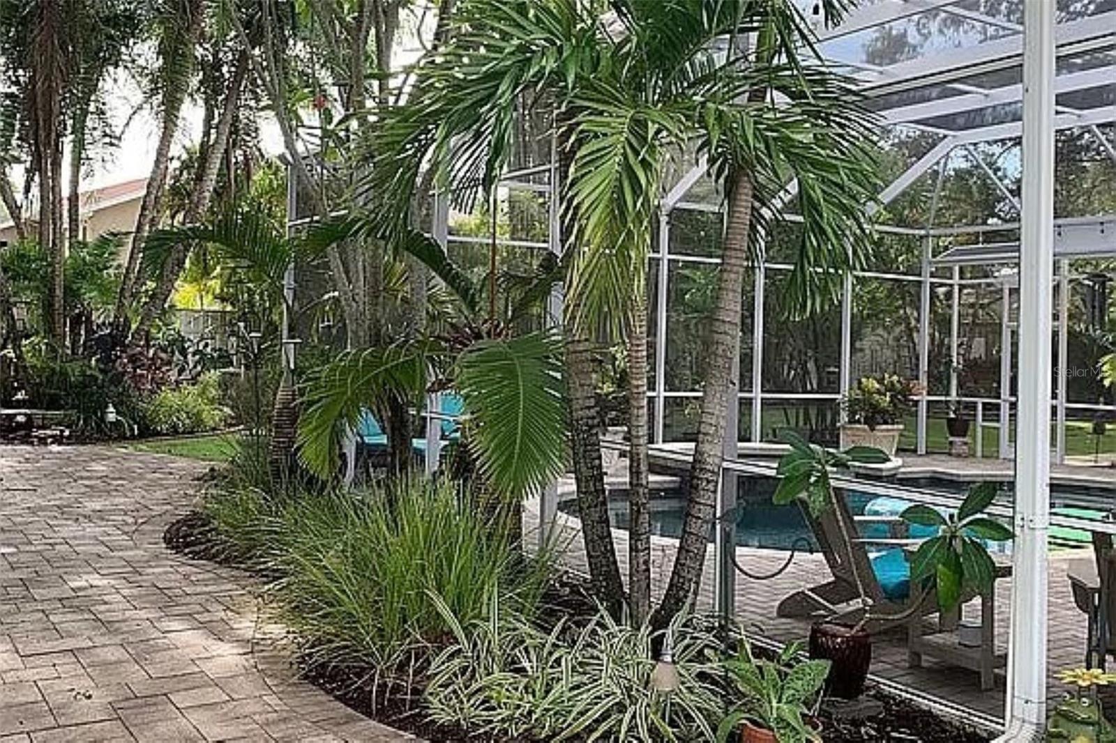 From gazebo area to pool beautiful plants w/palm