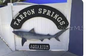 Tarpon Springs Aquarium